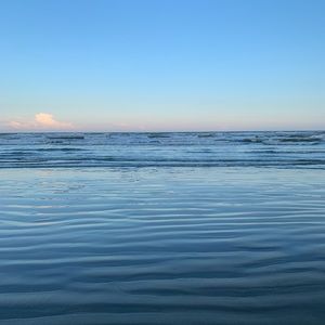 Meet your Posher, Isabel